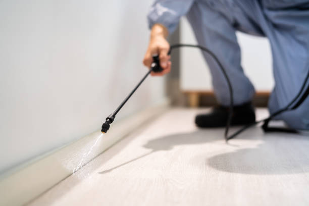 Licensed Termite Control service in Fleming Island, FL - Nex Pest Control