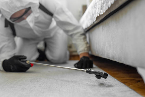Professional Termite Control technician working in Fleming Island, FL