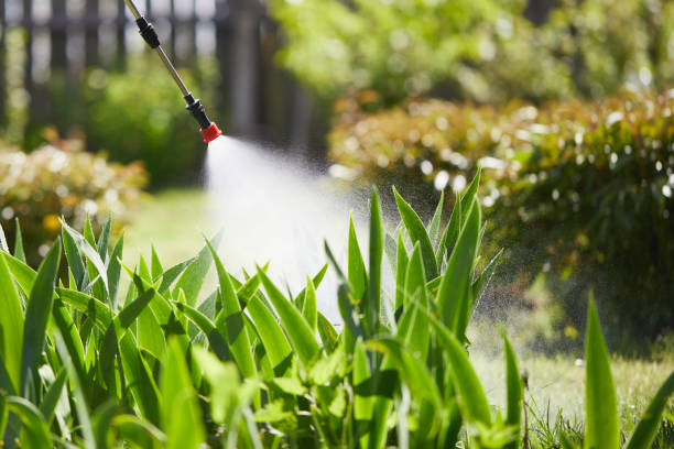 24/7 Emergency Termite Control experts in Fleming Island, FL