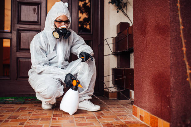 Reliable Termite Control contractor in Fleming Island, FL by Nex Pest Control